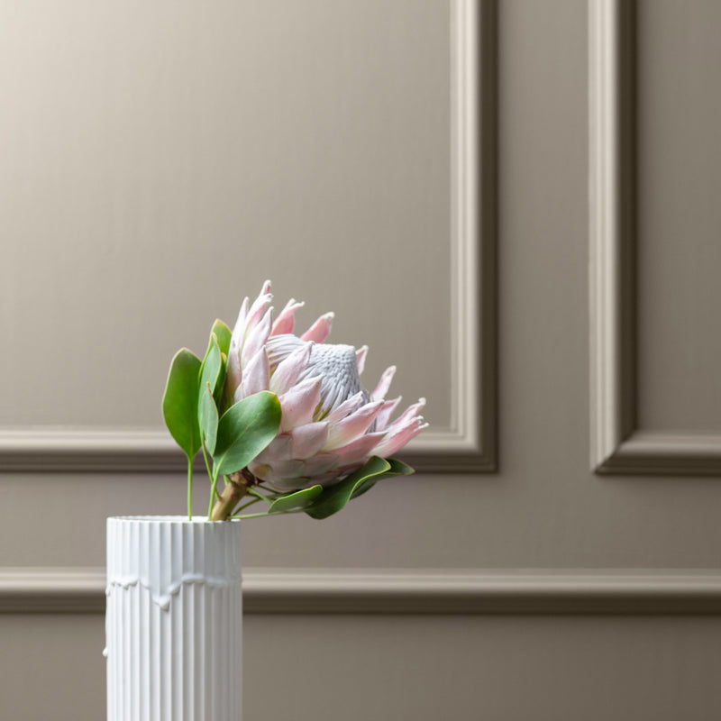 Panel 2 | Koristelista | WallArk.