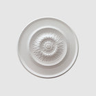 Adornment 2M | Kattorosetti